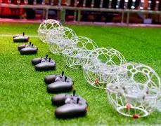 Sports,真人,资讯,DG真人视讯,DG真人,(Sports),DG视讯官网,DG真人官方平台