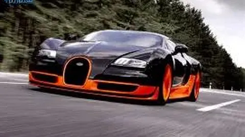 DG真人 (Sports) 产品 084735 t8d