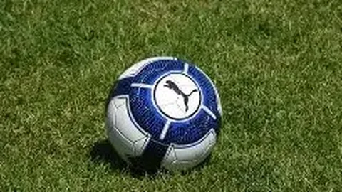 DG真人 (Sports) 资讯 091050 8qi